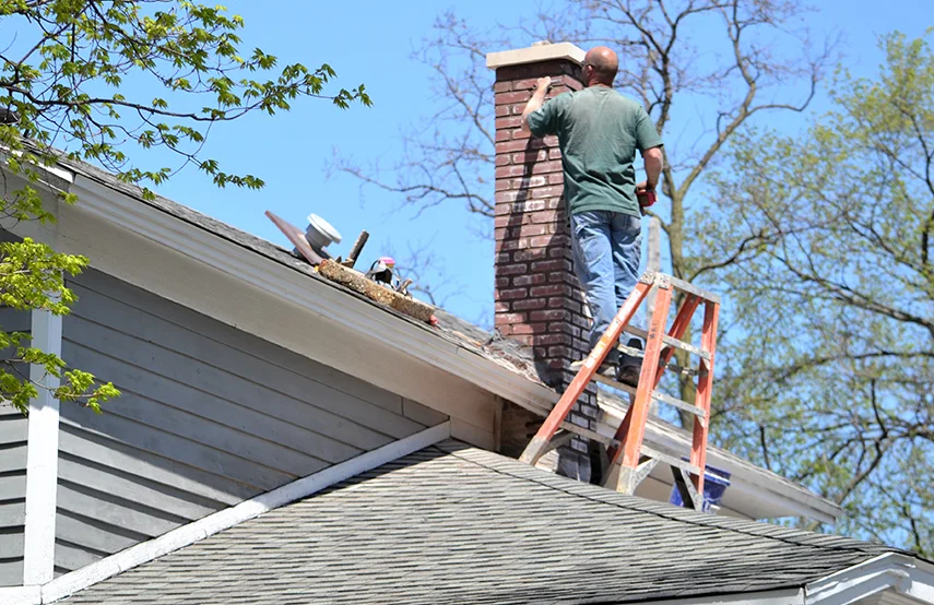 Chimney & Fireplace Inspections Services in Pinellas Park, FL